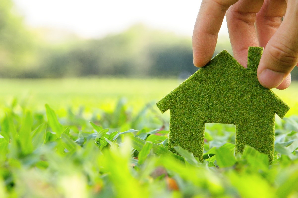 How Can I Make My Home a More EcoFriendly Environment? Low Carbon