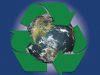 Low Carbon Buildings | Recyclable Storage Options for Sustainable Homeowners