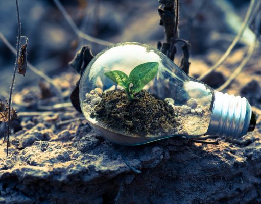 Low Carbon Buildings | Join the Green Movement – How to Become Environmentally-Conscious