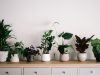 Low Carbon Buildings | Small Decor Changes to Make You Love Your Home Even More