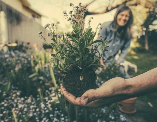 Low Carbon Buildings | What is topsoil used for
