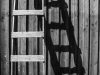 Low Carbon Buildings | Ladders are the Most Common cause of Home improvement injury