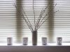 What Type of Blinds Are In Style 2021 Low Carbon Buildings | What Type of Blinds Are In Style 2021