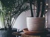 Eco friendly interior decor tips Low Carbon Buildings | Eco friendly interior decor tips