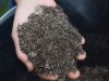 Benefits of Mulching Low Carbon Buildings | Home