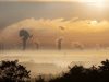 Tips For Reducing Your Company’s Carbon Footprint Low Carbon Buildings | Tips For Reducing Your Company's Carbon Footprint