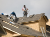 Low Carbon Buildings | How to Choose a Professional Roofing Contractor?
