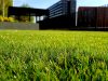 Low Carbon Buildings | 9 Essential Lawn Care and Maintenance Tips