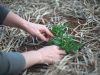 Simple Ways to Improve Your Garden Space This Summer Low Carbon Buildings | Simple Ways to Improve Your Garden Space This Summer
