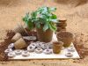 Low Carbon Buildings | New and innovative eco-friendly gardening products for everyone with CoirProducts.co.uk