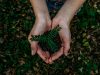 Low Carbon Buildings | David Mouko Elizaphan Omaanya: A Sustainable Future for Payments with Project ESG