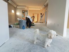 How To Move House With Pets? Move House