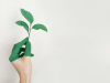 Eco-Friendly Conservatory: Make Your Space Livable All Year Round Conservatory