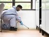 Humane Methods for Handling Common Household Pests