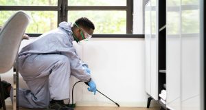 Humane Methods for Handling Common Household Pests