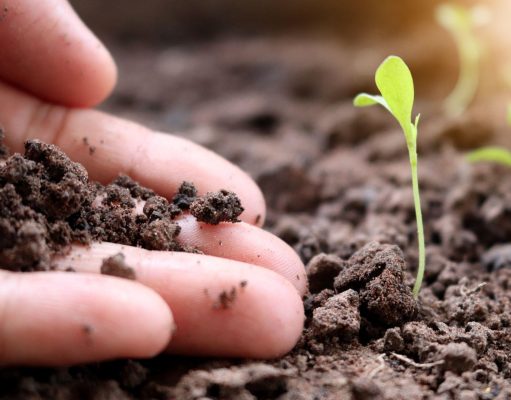 Why Environmental Remediation Is Getting Smarter in 2025