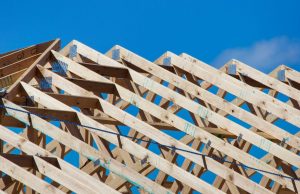 Timber