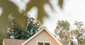 Homes in the 21st Century