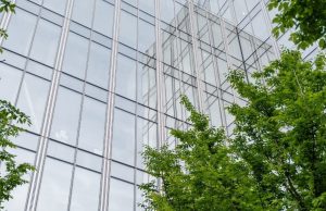 The UK Net Zero Carbon Buildings Standard: What You Need to Know