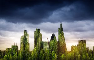 What Does “Net Zero Carbon Building” Really Mean?