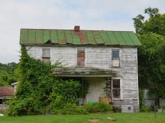 damp and decay management