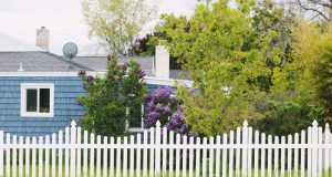 recycled plastic fencing