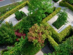 eco-friendly garden upgrades