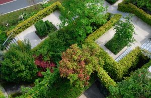 eco-friendly garden upgrades