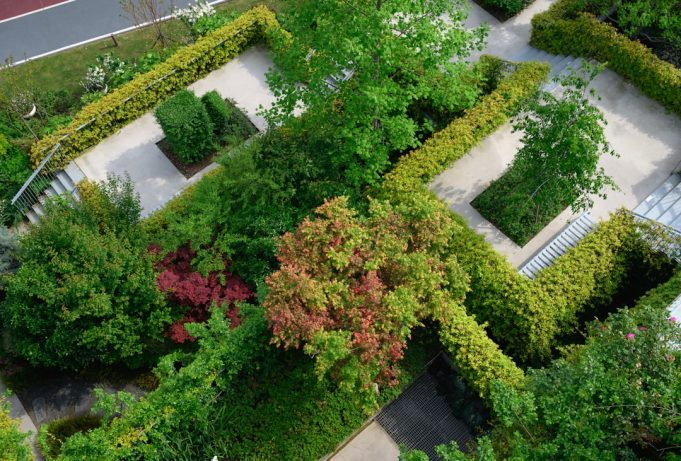 image-1774270736 eco-friendly garden upgrades