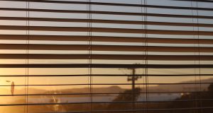 How to Make a Rented Flat Feel Like Home Without Drilling a Single Hole no-drill home improvements