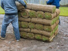 A Practical Guide to Landscaping Gloucester Properties
