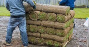 Landscaping Gloucester: Key Considerations, Trends, and Practical Insights A Practical Guide to Landscaping Gloucester Properties