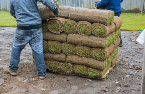 Landscaping Gloucester: Key Considerations, Trends, and Practical Insights A Practical Guide to Landscaping Gloucester Properties