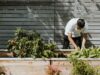 Low maintenance garden