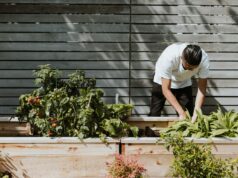 Must-Have Garden Upgrades for Low Maintenance Low maintenance garden