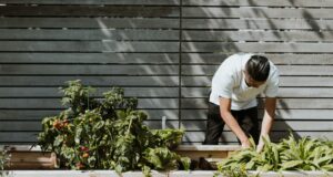 Must-Have Garden Upgrades for Low Maintenance Low maintenance garden