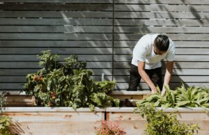 Must-Have Garden Upgrades for Low Maintenance Low maintenance garden