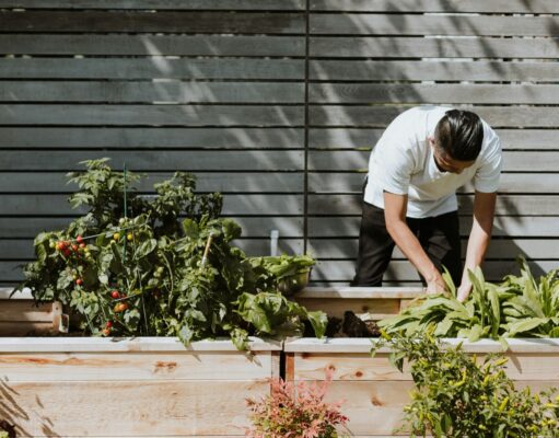 Low maintenance garden