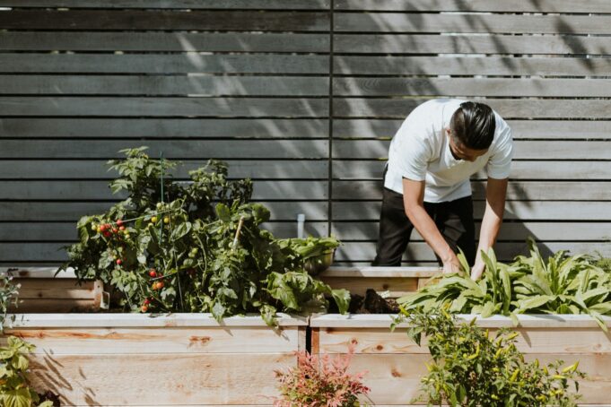 must-have-garden-upgrades-low-maintenance Low maintenance garden