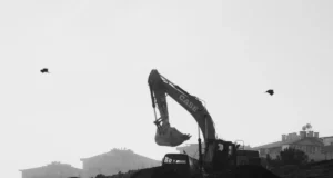 Avison Young adjudication enforcement