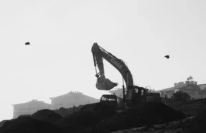 Avison Young adjudication enforcement