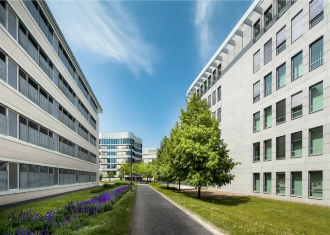 Carmody-Groarke-Birmingham-Smithfield Carmody Groarke Birmingham Smithfield