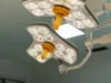 Guy's surgical centre costs