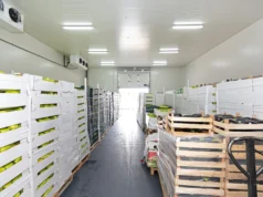 Industrial Dehumidification: Costs, ROI, and When It Pays for Itself Industrial Dehumidification