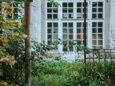 An overgrown garden in front of a house, the kind of first impression that can lower property appeal